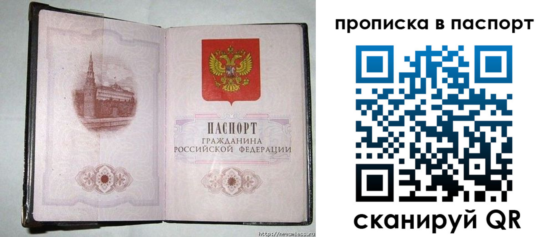 прописка гарантия в Вольске