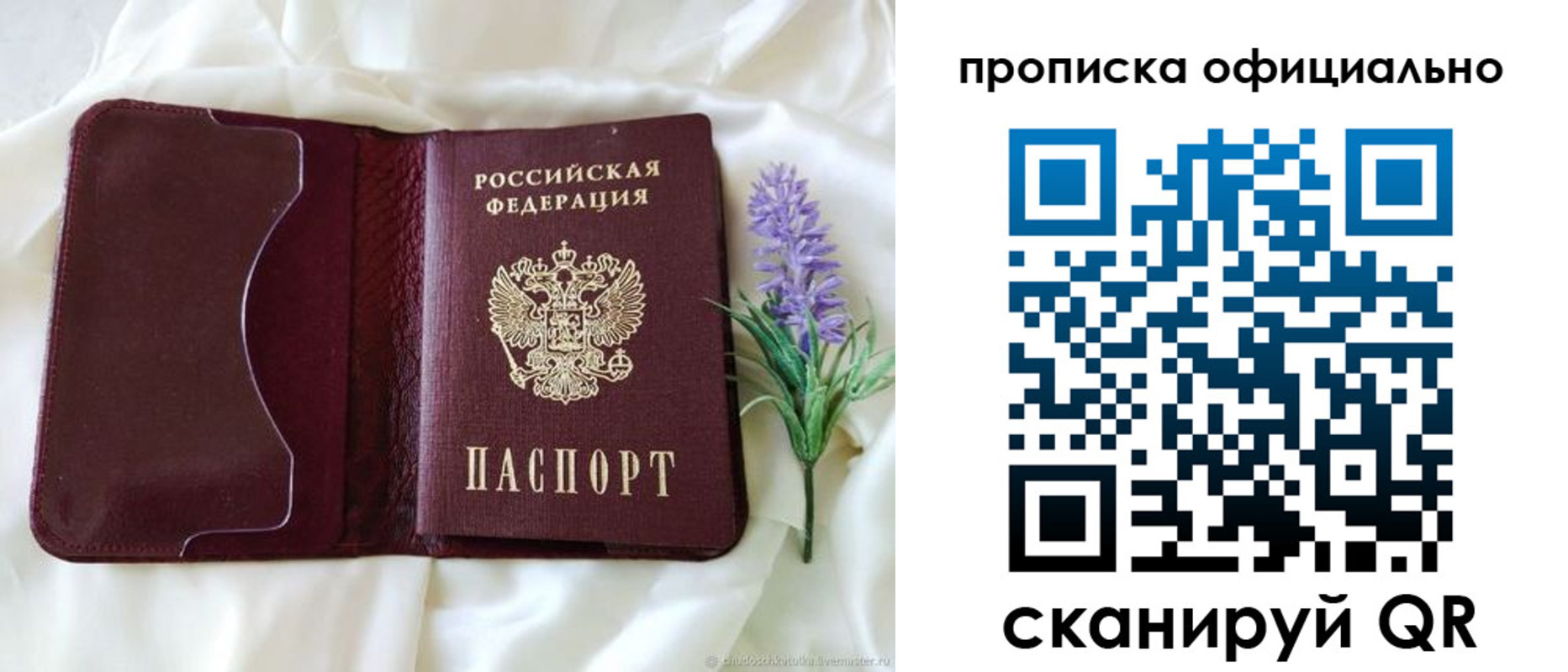 прописка поиск в Вольске